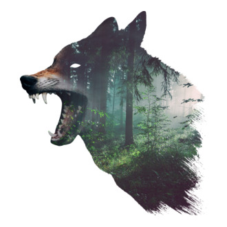 Farkas