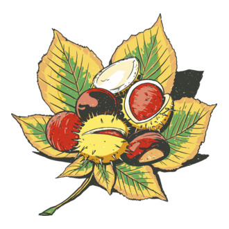 Gesztenye
