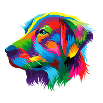 Golden retriever 