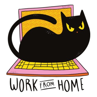 Home office macskával