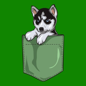 Husky zsebminta