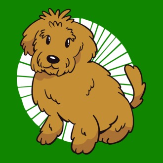 Labrador