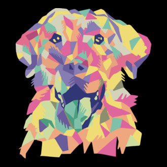 Labrador