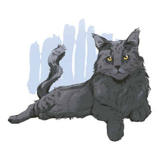 Maine Coon