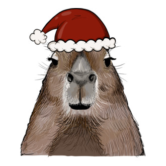 Mikulás Capybara
