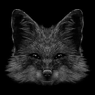 Róka