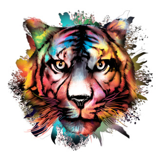 Színes tigris