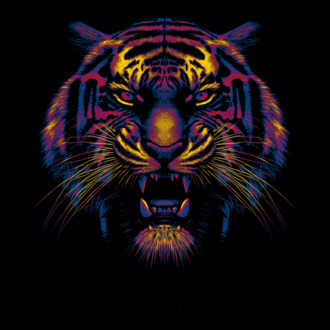 Színes tigris