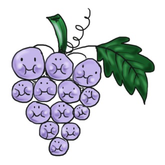 Szőlő