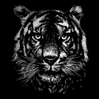 Tigris
