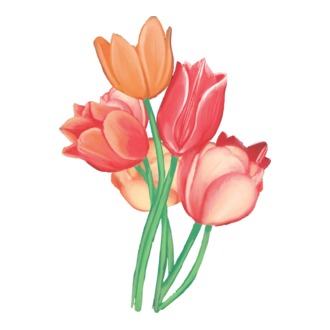 Tulipánok