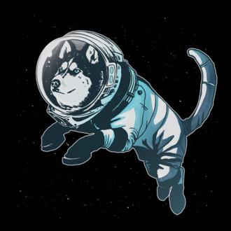 Űrhajós husky