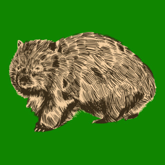 Wombat