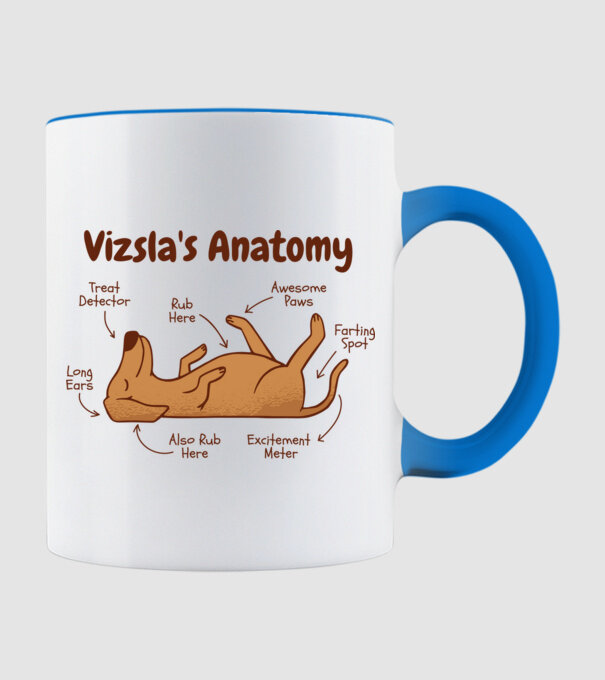  minta világoskék pólón